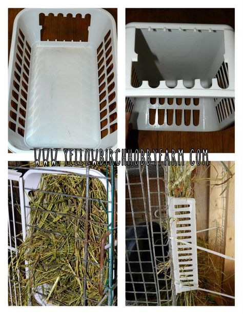 Diy Rabbit Hay Rack, Diy Hay Feeder Rabbit, Rabbit Hay Feeder Diy, Hay Feeder For Rabbits, Raising Meat Rabbits, Diy Rabbit Cage, Chicken Coop Ideas, Raising Rabbits For Meat, Rabbit Feeder