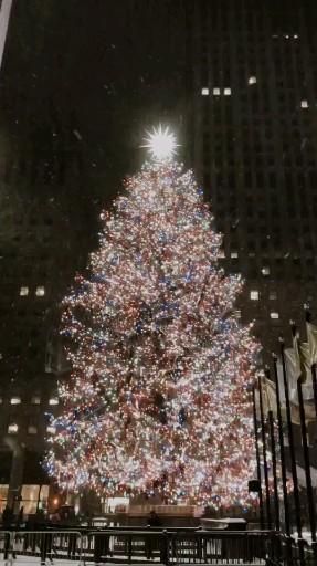 [ credits to seriiales on Instagram] Christmas in New York City Manhattan USA aesthetic video Christmas In Usa Aesthetic, New Year In New York Aesthetic, Xmas Aesthetic Video, Christmas Video Wallpaper, New York Snow Aesthetic, Merry Christmas Aesthetic Video, Christmas Vibes Videos, Christmas Wallpaper Video, Winter Video Aesthetic