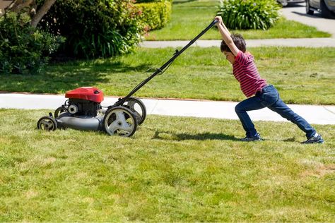 When Can You Legally Mow Your Lawn in Colorado? Man Mowing Lawn, Age Appropriate Chores For Kids, Spring Lawn Care, Because The Internet, Age Appropriate Chores, Lawn Care Tips, Lawn Mowing Memes Hilarious, Lawn Maintenance, Kids Discover