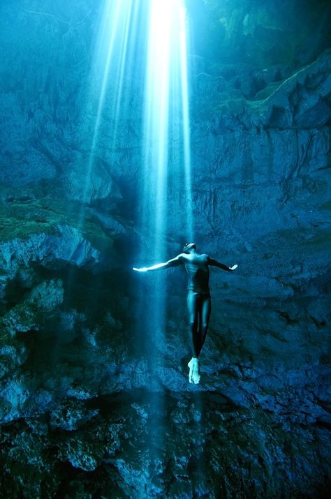 Cleansing Cenotes Yucatan, Free Dive, New Retro Wave, Under The Water, The Deep Blue Sea, Image Nature, Free Diving, Scuba Dive, Underwater Photos