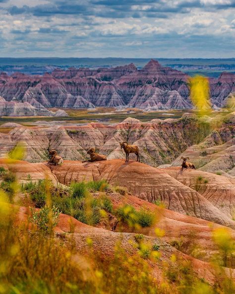 Badlands National Park In... - The Bucketlist Adventures South Dakota Travel, Utah Road Trip, Cross Country Trip, Midwest Travel, Badlands National Park, National Parks Usa, Travel South, Us National Parks, Banff National Park