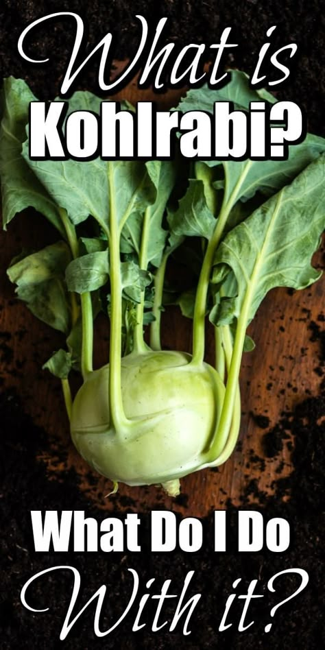 Recipes With Kohlrabi, Kolarabi Recipes Easy, Kalarabi Recipes, Kohlrabi Greens Recipes, Kohlrabi Recipes Easy, Kolrabi Recipes, Kolarabi Recipes, Kohlrabi Recipes Healthy, Vegan Kohlrabi Recipes