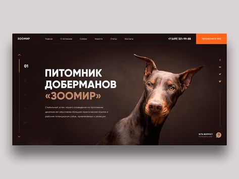 Brown Website Design, Ux Typography, Brown Website, Dog Doberman, Best Landing Page Design, Landing Page Examples, Best Landing Pages, Ui Design Inspiration, Web Layout Design