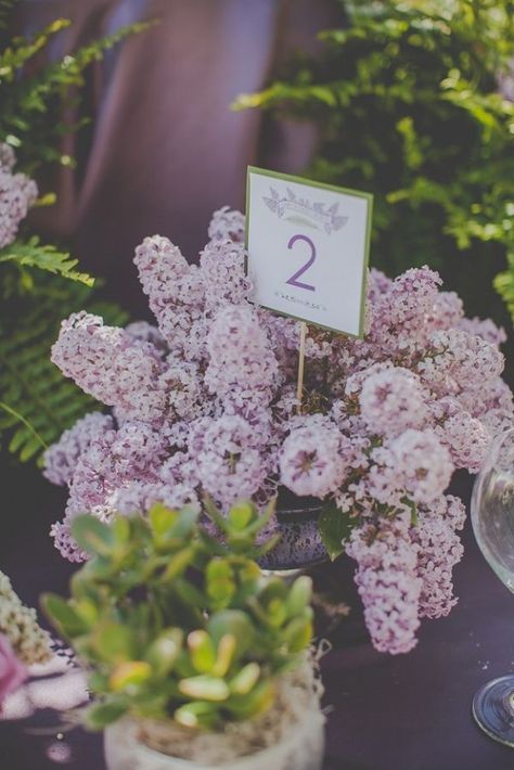 lilac-weddings-3 Lilac Flower Arrangements Wedding, Married Ideas, Lilac Wedding Flowers, Wedding Flower Guide, Lowcountry Wedding, Wedding Projects, Lilac Wedding, April Wedding, Flower Guide