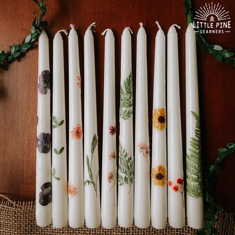 Pressed Flower Candles, Diy Candles With Flowers, Dried Flowers Crafts, Dried Flower Candles, Pressed Flowers Diy, Flower Candles, Dried Flowers Diy, Pressed Flower Crafts, Outdoors Inside