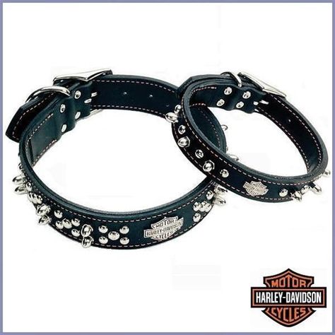 Harley-Davidson Black Leather Spike Dog Collar Harley Davidson Dog, Dog Helmet, Biker Dog, Spiked Dog Collar, Harley Davidson Jewelry, Dog Goggles, Harley Davidson Hats, Harley Davidson Accessories, Good Dog