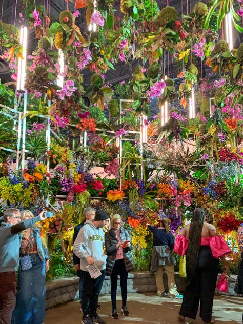 Philadelphia Flower Show: Colorful photos of the 'Electric Garden' Philadelphia Flower Show, Colorful Photos, Chelsea Flower, Chelsea Flower Show, Flower Show, Philadelphia, Flowers, Color