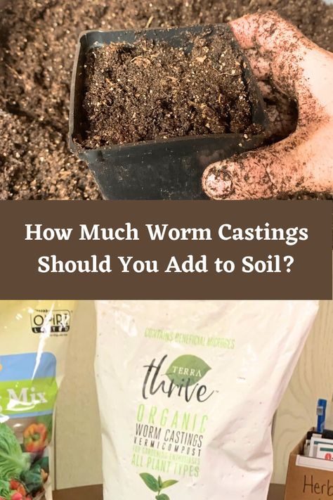 Worm Juice, Worm Castings How To Make, Tennessee Gardening, Worm Castings How To Use, Diy In Ground Worm Composter, Vermicomposting Worm Farm, Allotment Planning, Vermiculture Worm Farm, Red Worm Composting