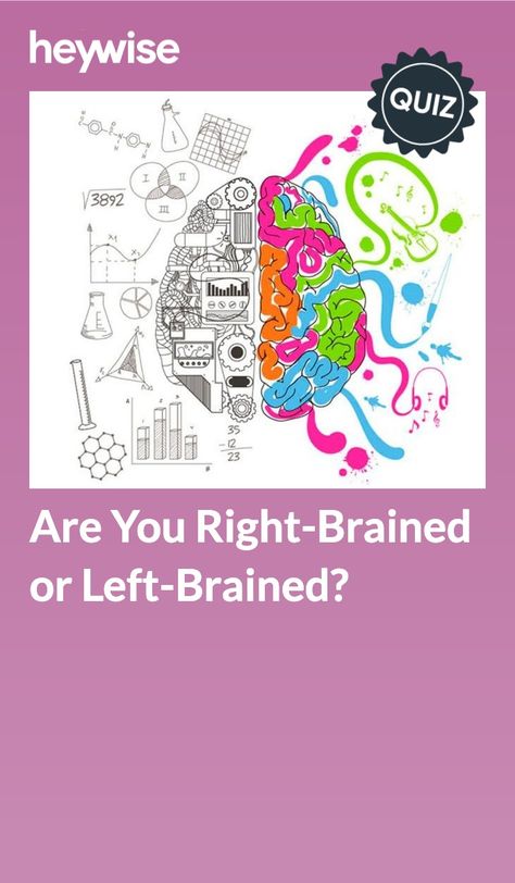 Left Brained Or Right Brained, Left Or Right Brain Quiz, Brain Quiz, Left Brain Right Brain, English Degree, Left Brain, Your Spirit Animal, Right Brain, Trivia Quiz