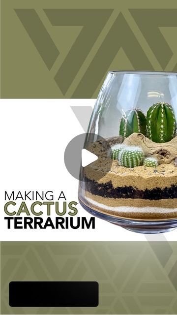 Terrarium Tutorial, Large Cactus, Cactus Terrarium, Cactus Succulents, Cactus Garden, Gardening Ideas, Amazing Gardens, Container Gardening, Terrarium