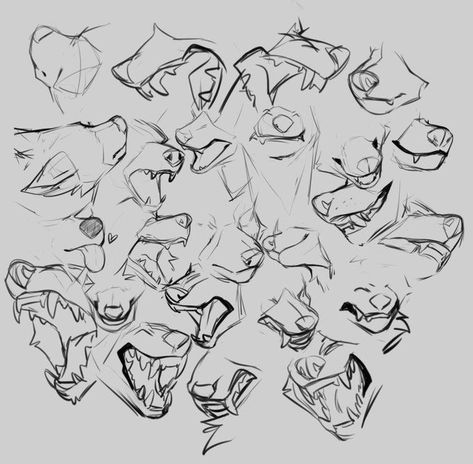 Wolf Drawing Reference, Wolf Sketch, Canine Drawing, Canine Art, Wolf Drawing, Drawing Expressions, Anatomy Reference, Animal Sketches, Animal Heads