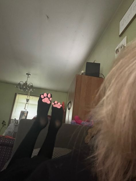 Kitty Thigh Highs, Cat Thigh Highs, Thighs Socks, Cat Paw Socks Aesthetic, Paw Pad Socks, Thigh High Pics Aesthetic, Cat Paw Socks, Paw Socks, Thigh Socks Aesthetic