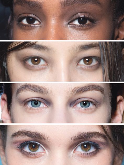 Fall 2015 Beauty Trends Interesting References, Upturned Eyes, Eye References, Eyes Looking Down, Anatomy Studies, Eye Study, Facial Anatomy, Face Anatomy, Pretty Makeup Looks