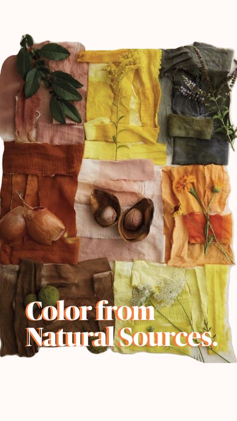 Learn how to have color from natural sources to Tye dye. I hope you get inspired. Natural Green Dye, Avocado Dyeing, Natural Dyes, Color Pallets, Costume Design, Dye, Green, Fabric, Color