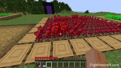 Nether Wart Farm Design, Minecraft Nether Wart Farm Design, Minecraft Jungle Nether Portal, Nether Wart Farm, Portal Do Nether Minecraft Ideias, Minecraft Nether Statue, How To Makw, Minecraft Nether In Overworld, Farm Design