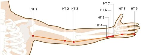 Heart Meridian, Meridian Acupuncture, Shiatsu Massage Acupressure, Meridian Points, Acupuncture Benefits, Acupuncture Needles, Doctor's Office, Shiatsu Massage, Acupuncture Points