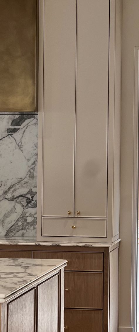 Cabinet Doors That Look Like Drawers, Beveled Shaker Cabinets, Shaker With Bead Cabinet, Laquer Cabinets Kitchen Modern, Mini Shaker Cabinets, Cabinetry Details, Inset Kitchen Cabinets, Future Interior Design, Transitional Kitchens