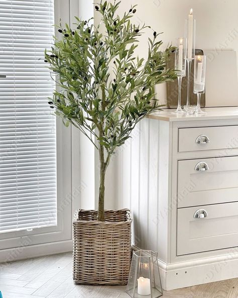 Indoor Olive Tree, Popular Plants, Artificial Olive Tree, Tree Inspiration, Faux Olive Tree, Black Olives, Faux Tree, Potted Trees, Indoor Plant Pots