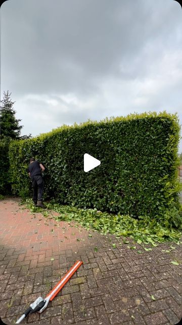 Alexander hayden on Instagram: "“Transformed this laurel hedge! Using the ego HT2600e hedge trimmer. 🌿✂️ Now perfectly level and ready for summer thanks to my expert trimming skills. 🤣 blow your own trumpet #HedgeTransformation #SummerReady #transformation #satisfying #skilled #ego #egopowerplus #batterytools #satisfying #satisfyingvideos #blowyourtrumpet #egopowerpluseu #ego" Hedge Trimming Ideas, Hedge Trimming, Trimming Hedges, Laurel Hedge, Lawn Care Tips, Garden Inspo, Hedge Trimmer, The Ego, Hedge Trimmers