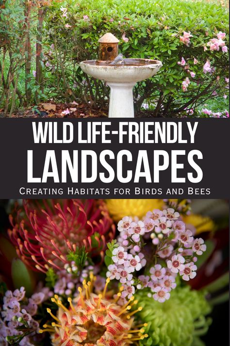 Discover the joy of a wildlife-friendly landscape at home 🐦🐝! Learn how to attract birds and bees to your garden with native plant selection, water features, and eco-friendly practices. Perfect for nurturing biodiversity, growing beautiful blooms, & creating a vibrant space! Bee Flowers Garden, Australian Native Bee Garden, Landscaping For Birds And Butterflies, Wildlife Friendly Garden Ideas, Wildlife Friendly Garden, Bird Friendly Garden, Birds And Bees, Wildlife Garden, Habitat Destruction