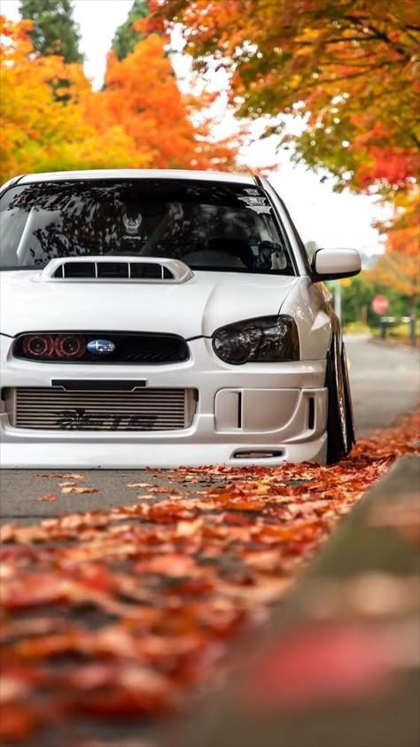 Wrx Subaru, Serie Bmw, Stanced Cars, Sports Car Wallpaper, Jdm Wallpaper, Best Jdm Cars, Subaru Cars, Mitsubishi Lancer Evolution, Nissan Silvia