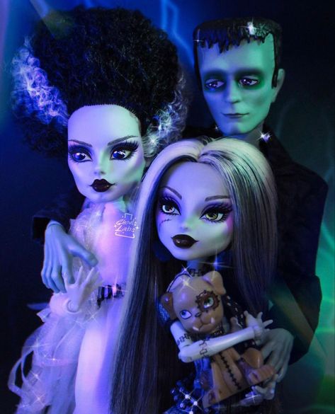 Doll Photoshoot, Arte Monster High, Monster High Pictures, Funk Pop, Frankie Stein, Moster High, Custom Monster High Dolls, Doll Aesthetic, Monster High Custom