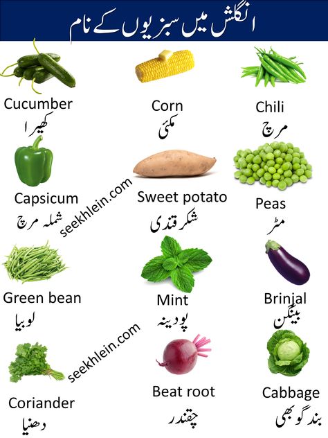 Here you are going to learn Vegetable Name In English And Urdu Vegetables Name, Kitchen English, Summer Vegetable Recipes, Urdu Vocabulary, Islamic Months, Word English, Corn Chili, Healthy Food Chart, Basic English Grammar Book