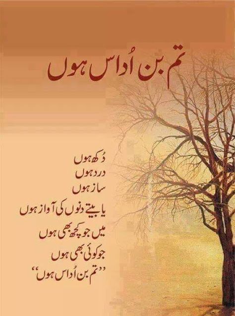 NAZIM'S POETRY Poetry Time, Urdu Poetry Ghalib, Romantic Poetry Quotes, Poetry Funny, Urdu Funny Poetry, Poetry Pic, Love Romantic Poetry, Soul Poetry, Iqbal Poetry