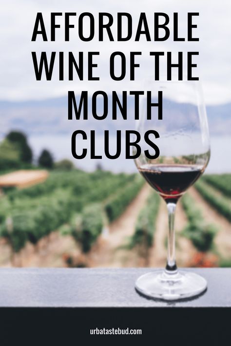 Check out some of the most affordable wine of the month clubs that won't break the bank. Whether if your'e looking for a cheap wine subscription for under $30 or something in the $50 that's truly personalized to your tastes, there's a wine club for you. #wine #wineclub #winesubscription #winesubscriptionbox #monthlywine Wine Subscription Box, Wine Subscription, Pinot Noir Wine, Wine Preserver, Wine Event, Wine Sale, Italy Wine, Wine Delivery, Wine Club