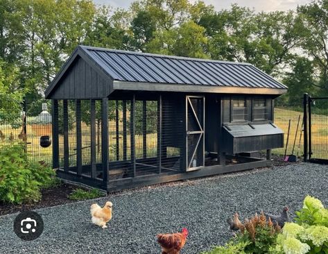 Modern Chicken Coop Design, Garden With Chicken Coop, Large Chicken Coop Ideas, Black Chicken Coop, Inside Chicken Coop Designs, Luxury Chicken Coop, Duck Coop Ideas, Fancy Chicken Coop, Chicken Coop Building Plans