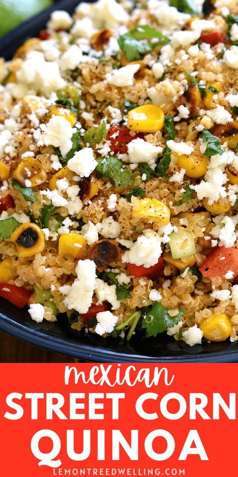 Mexican Street Corn Quinoa is a great way to jazz up a quinoa side dish! Loaded with the delicious flavors of Mexican Street Corn, this quinoa salad recipe is fresh, flavorful, and perfect for summer! Mexican Quinoa Recipes, Fajita Side Dishes, Quinoa Recipes Side Dish, Chicken Quinoa Recipes, Quinoa Side, Quinoa Side Dish, Mexican Street Corn Salad Recipe, Corn Quinoa, Honey Dinner