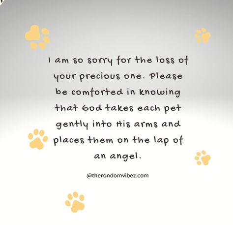 90 Sympathy Quotes For Loss Of Pet And Pet Loss Messages Pet Sympathy Messages, Cat Loss Sympathy Messages, Sorry For The Loss Of Your Cat, Pet Condolences Dogs Sympathy Messages, Dog Condolences Loss Of Pet Sympathy Messages, Dog Loss Sympathy Messages, Dog Died Quotes Sympathy, Loss Of Dog Sympathy, Sorry For The Loss Of Your Dog