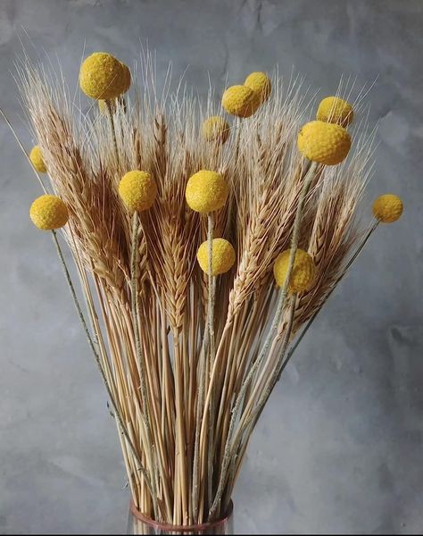 Dried Flowers Bouquet, Wheat Stalks Bundles for Decorations, Corn Stalks, Fake Wheat Decor, Fall Floral Decor Wheat Floral Arrangements, Wheat In Vase, Wheat Grass Decor, Dried Wheat Decor, Wheat Arrangements, Wheat Decor, Wheat Bouquet, Wheat Decorations, Dried Floral Wreaths