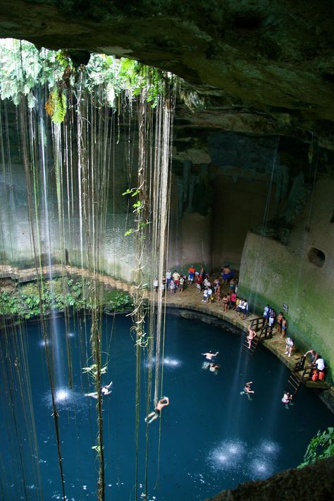 Chichén Itzá, Ik Kil Cenote   |   Yucatán,   México |    Jordi Joan Fabrega photography  2009 Natural Pool, Pool, Water, Photography, Mexico, Nature