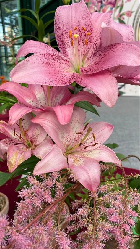 The Garden, Pink Flowers, Flowers, Pink, Art