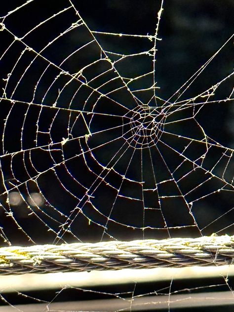 A spider net on a bridge, interesting Spider Net, Final Exams, A Bridge, Spider Web, Aesthetic Photography, Glass Painting, Installation Art, Bridge, Textiles