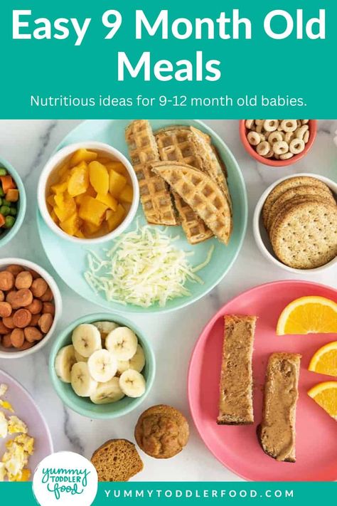 Easy 9 Month Old Meals Baby Breakfast Ideas, 9 Month Old Baby Food, Baby Food Breakfast, Baby Breakfast, Baby Food Chart, Easy Baby Food Recipes, 9 Month Old Baby, Veggie Delight, Food Charts