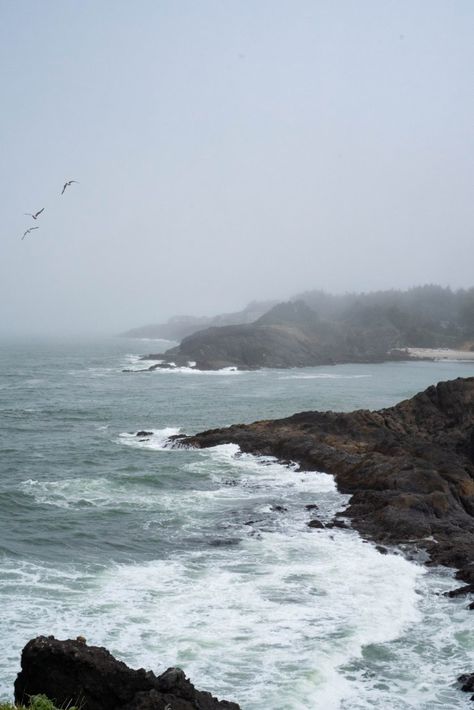 10 Can't-Miss Stops on the Oregon Coast - The Awayist Foggy Coastal Town, Pacific Northwest Coast, Pacific Northwest House, Oregon Coast Aesthetic, Alexa Core, Pacific Northwest Beach, Pnw Coast, Coastal Oregon, Oregon Coast Road Trip