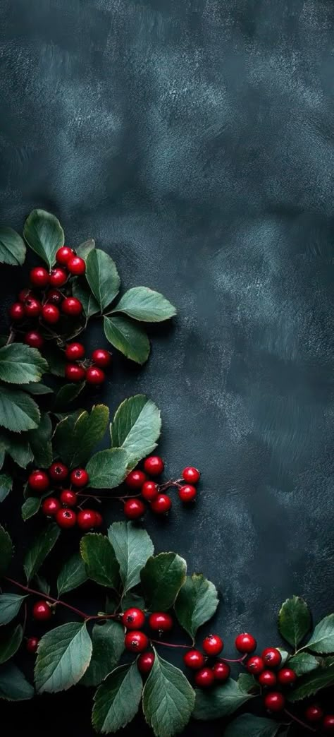 Wallpaper Schemes, Christmas Flowers Wallpaper, Winter Flowers Wallpaper, Money Wallpaper Iphone, Floral Wallpaper Iphone, Xmas Wallpaper, Christmas Phone Wallpaper, Cute Christmas Wallpaper, Cool Backgrounds Wallpapers