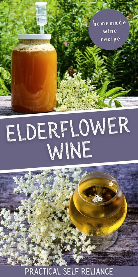 Elderflower Wine Recipe - If you are looking for a delicious and unique way to enjoy wine, why not try making your own elderflower wine at home? This homemade wine recipe is perfect for budding winemakers as it requires no special equipment and just a few ingredients. From foraging elderflower to fermenting the wine, this guide will teach you everything you need to know to turn those edible flowers into a delicious wine. Learn how to make wine at home today!