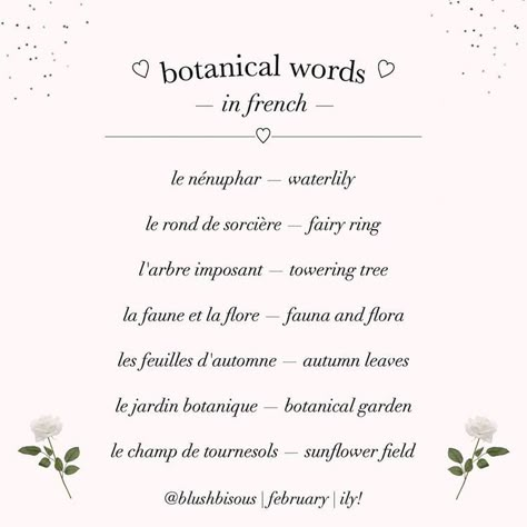 Soft French Words, Elegant Vocabulary, Ethereal Words, French Words Aesthetic, Angelic Words, France Words, Pretty French Words, Words Aesthetic, French Words Quotes