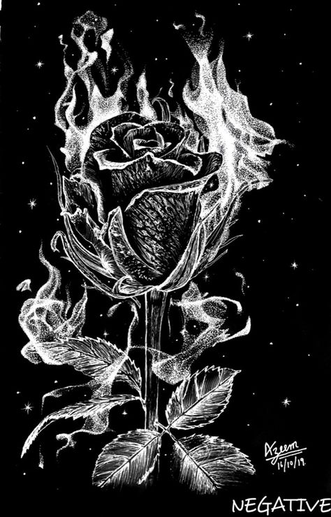 Negative micron pen sketch of burning black rose. Flames made with dots. Burning Black Rose, Burning Rose Drawing, Rose Illustration Art, Rose On Fire, Bleach Painting, Rose Tattoo Stencil, Character Collage, Drawing Rose, Nice Drawings