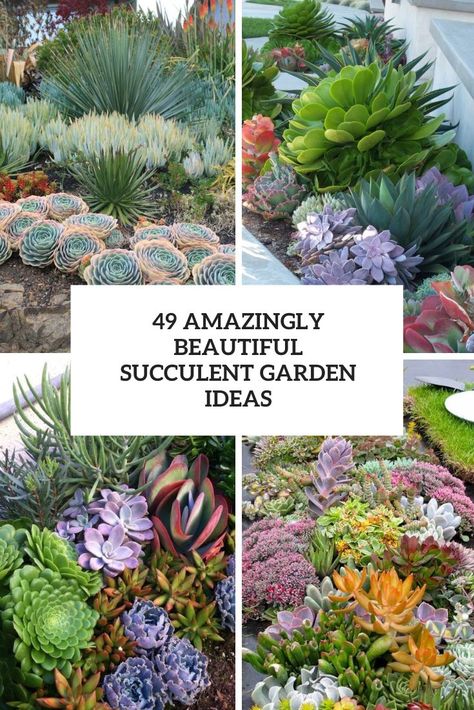 Succulent Landscaping Front Yard, Garden Edging Stones, Succulent Garden Ideas, Succulent Garden Outdoor, Cactus Garden Landscaping, Garden Edge, Edge Ideas, Succulent Rock Garden, Edging Stones