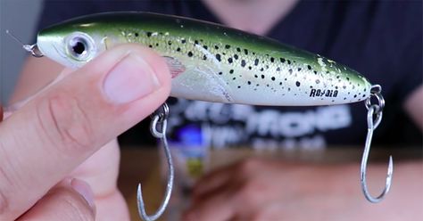 The Best Hooks For Topwater Lures (That Are Safer & More Effective) Saltwater Lures, Only In Texas, Topwater Lures, Salt Water Fishing, Fishing Knots, Fishing Videos, Treble Hook, Pier Fishing, Ice Fishing