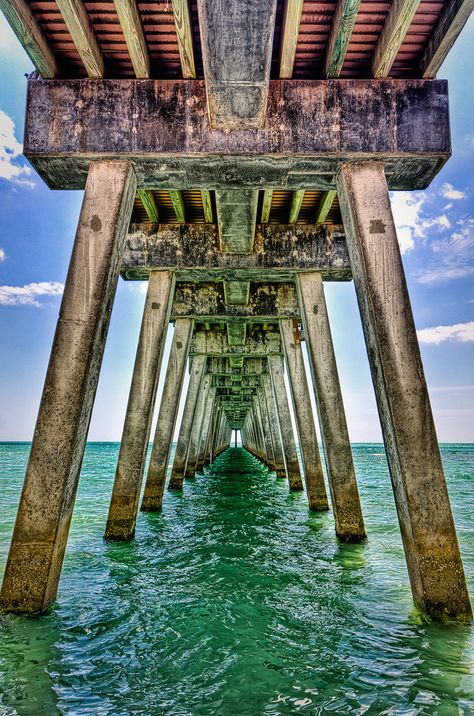 photo Under The Boardwalk, Wow Photo, Venice Florida, Salt Water Fishing, Fishing Pier, Fort Myers Beach, Pier Fishing, Old Florida, Camping Fun