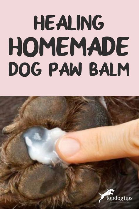 Paw Balm Recipe, Dog Paw Care, Dog Balm, Dog Paw Balm, Bella And Edward, Pet Remedies, Meds For Dogs, Balm Recipe, Paw Care