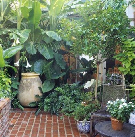 Inspiration for a textured green outdoor space Small Patio Decorating Ideas, Small Patio Decor, Small Yard Landscaping, Small Garden Landscape, Brick Patio, Small Courtyard Gardens, Tropical Backyard, Courtyard Gardens Design, Small Patio Garden