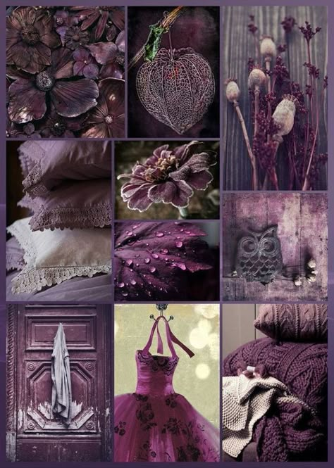 Plum Color Palettes, Plum Color Palette, Fall Purple, Purple Rooms, Color Schemes Colour Palettes, Color Collage, Beautiful Collage, Color Palette Design, All Things Purple