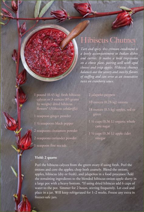 Hibiscus Flower Recipes, Hibiscus Recipes, Hibiscus Recipe, Dried Hibiscus Flowers, Nigerian Recipes, Homemade Hair, Unique Food, Chutney Recipe, Christmas Menu