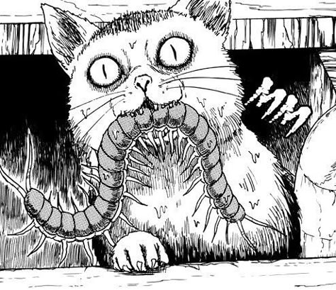 Junji Ito's works of horror. Junji Ito Art, Ito Junji, Junji Ito Collection, Creepy Cat, Horror Manga, Japanese Horror, Junji Ito, Gothic Anime, Cat Air